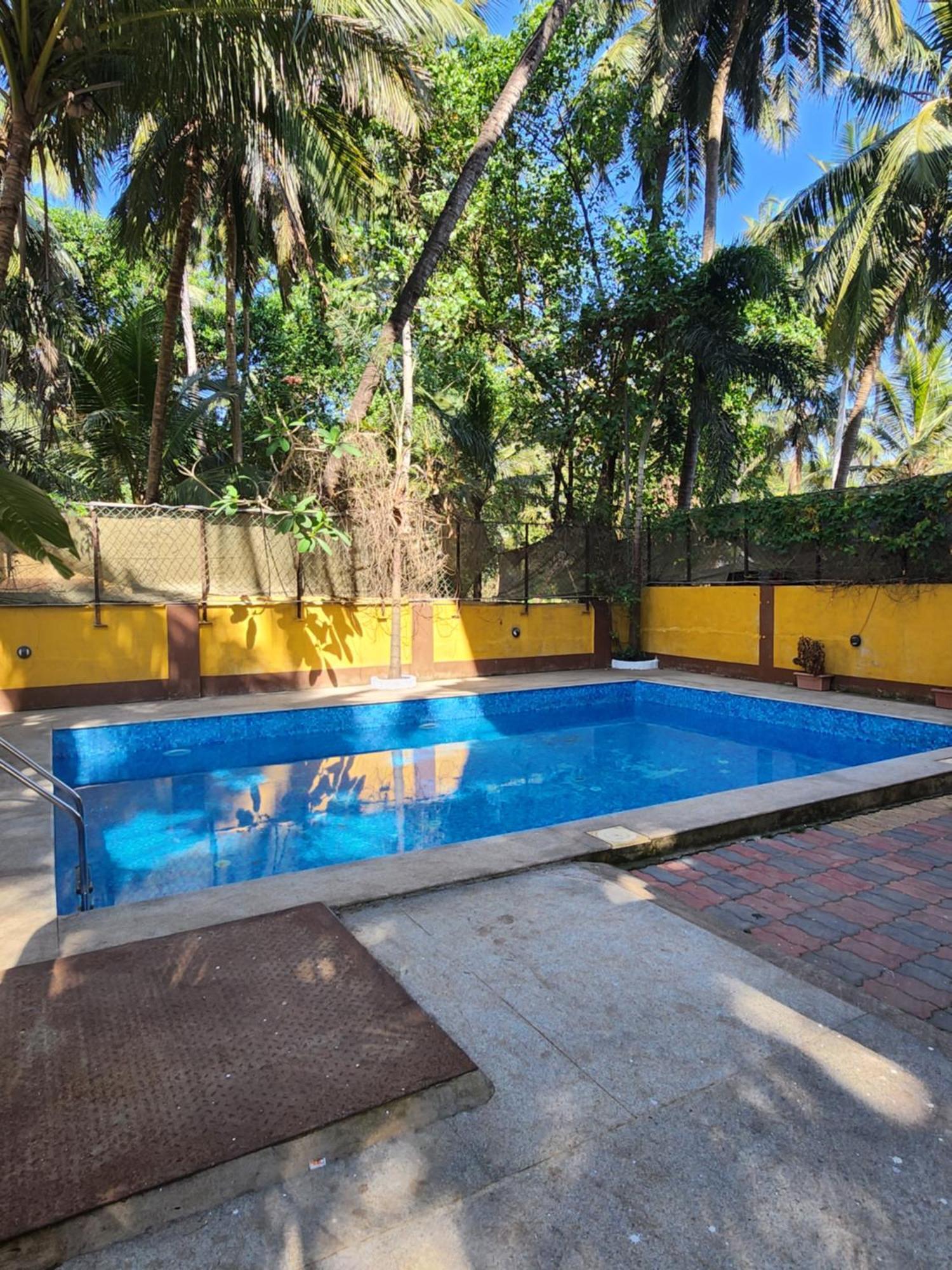 Luxury 2Bhk Apartment Near Calangute Baga Beach With Pool מראה חיצוני תמונה