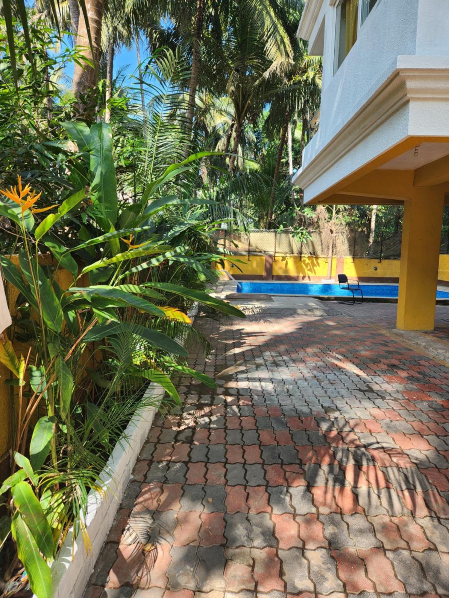 Luxury 2Bhk Apartment Near Calangute Baga Beach With Pool מראה חיצוני תמונה